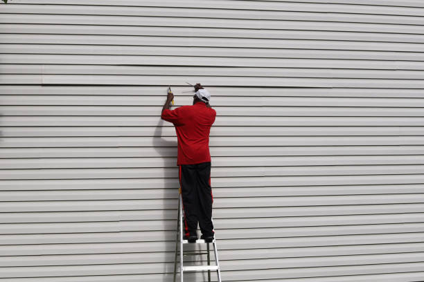 Best Siding Painting and Refinishing  in Greenfield, WI